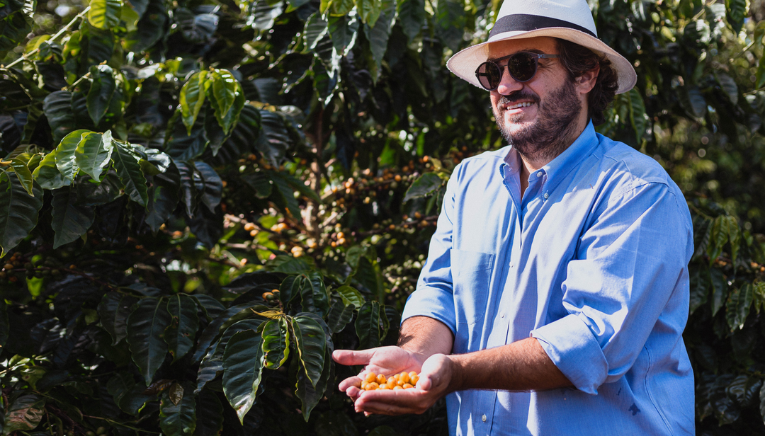 Geisha do Luiz Paulo: um café que antecipa o futuro - Café do Mercado