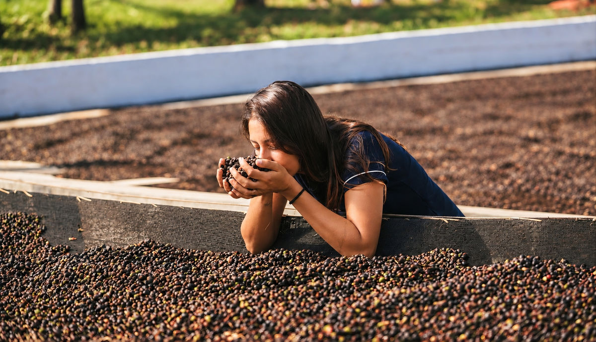 Novo edição limitada: Danielle fonseca, Fazenda Comtu e os 15 dias de fermentação