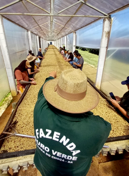 Ouro Verde - Planalto da Conquista