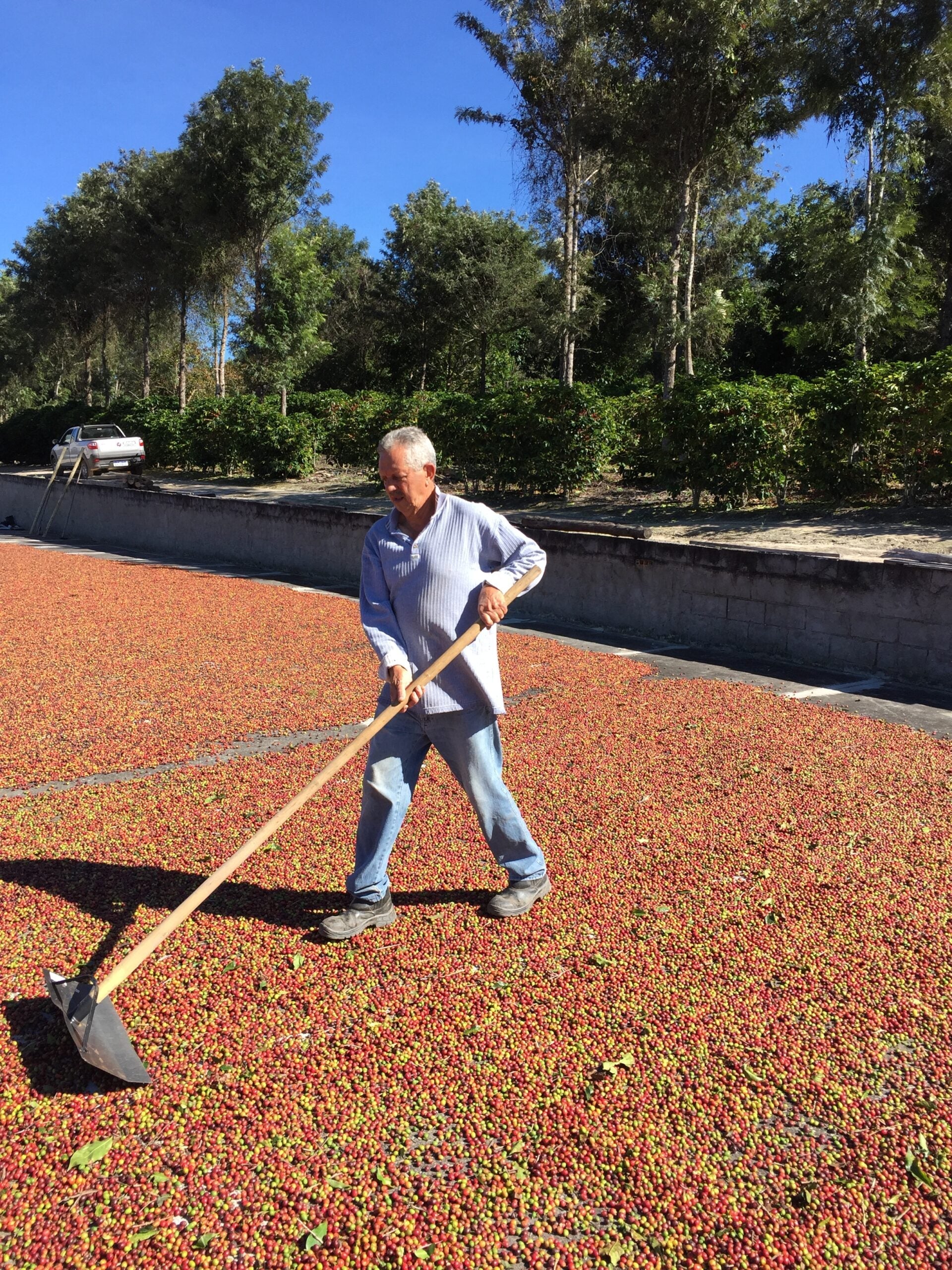 Chácara São Severino
