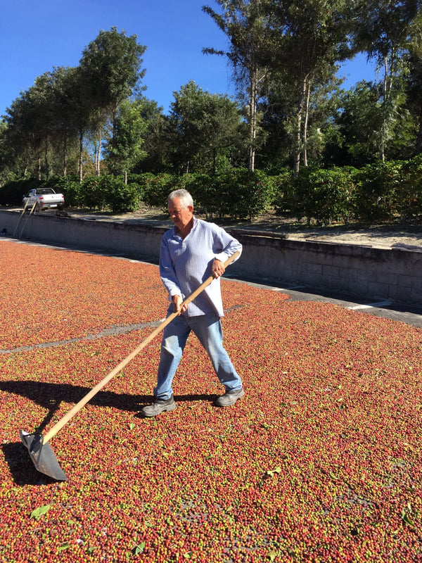 Chácara São Severino