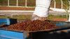 CAFE EDICAO LIMITADA DANIELLE FONSECA 250G - Café do Mercado