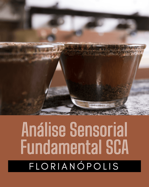 CURSO ANÁLISE SENSORIAL FUNDAMENTAL SCA FLORIANÓPOLIS - 27 e 28 de JUNHO - Café do Mercado