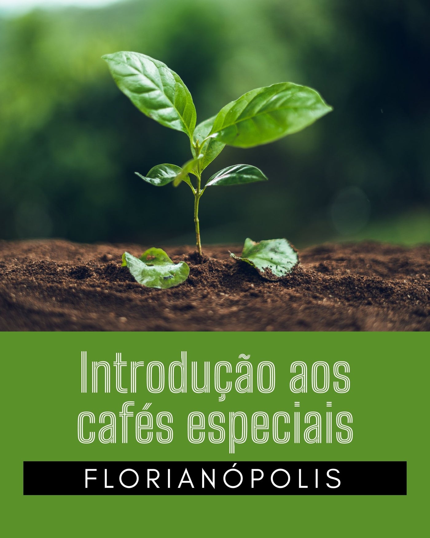 CURSO INTRODUÇÃO AOS CAFÉS ESPECIAIS SCA -FLORIANÓPOLIS - DATA A DEFINIR
