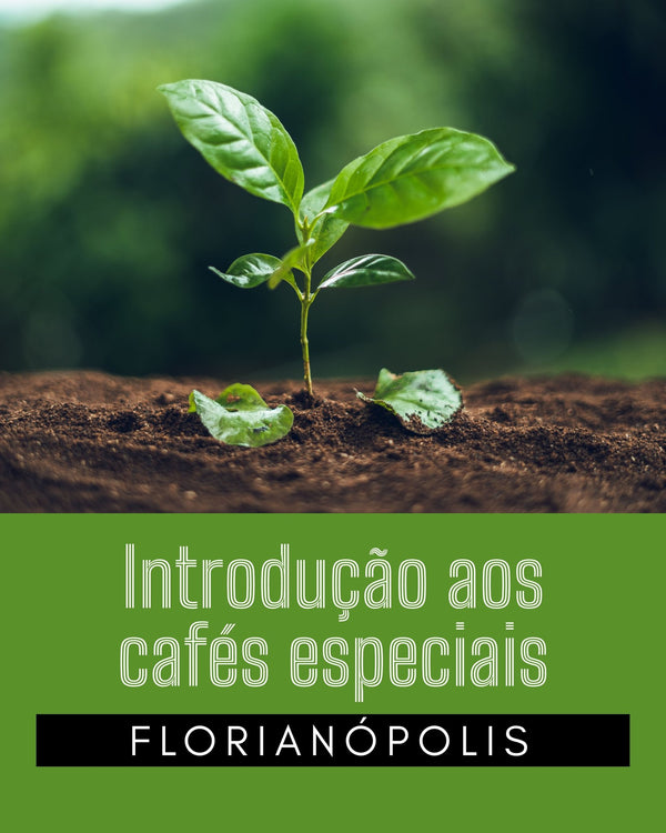 CURSO INTRODUÇÃO AOS CAFÉS ESPECIAIS SCA - FLORIANÓPOLIS - DATA A DEFINIR - Café do Mercado