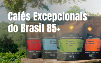 CAFÉS EXCEPCIONAIS DO BRASIL 85+
