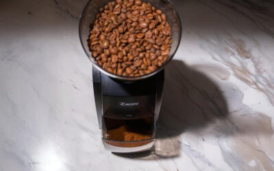 Baratza Encore: o moedor ideal para transformar seu café em casa ou no seu negócio